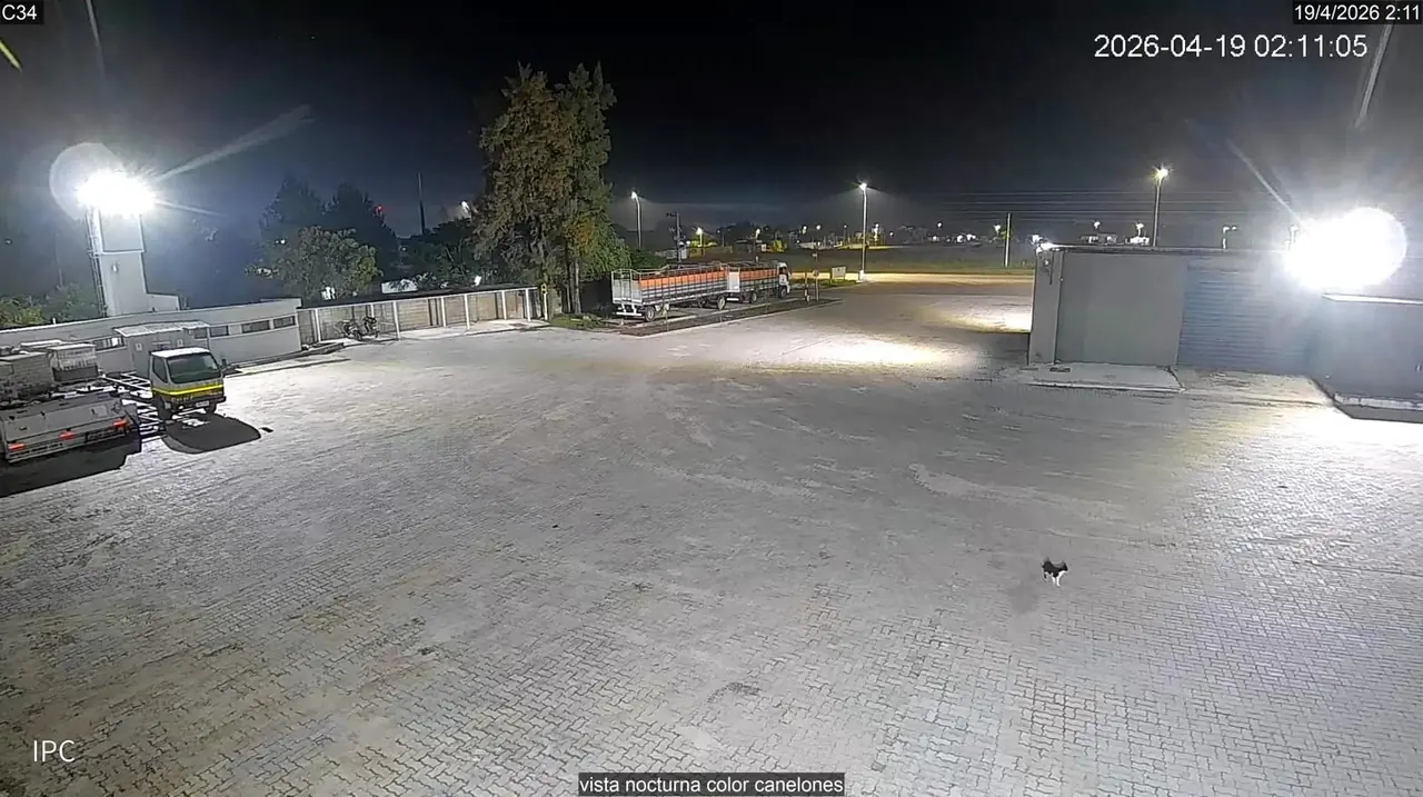 Empresa 5K nocturno